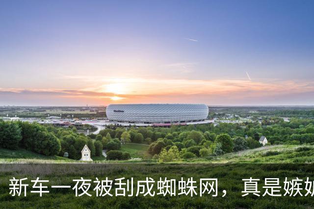 新车一夜被刮成蜘蛛网，真是嫉妒作祟还是集体误判？